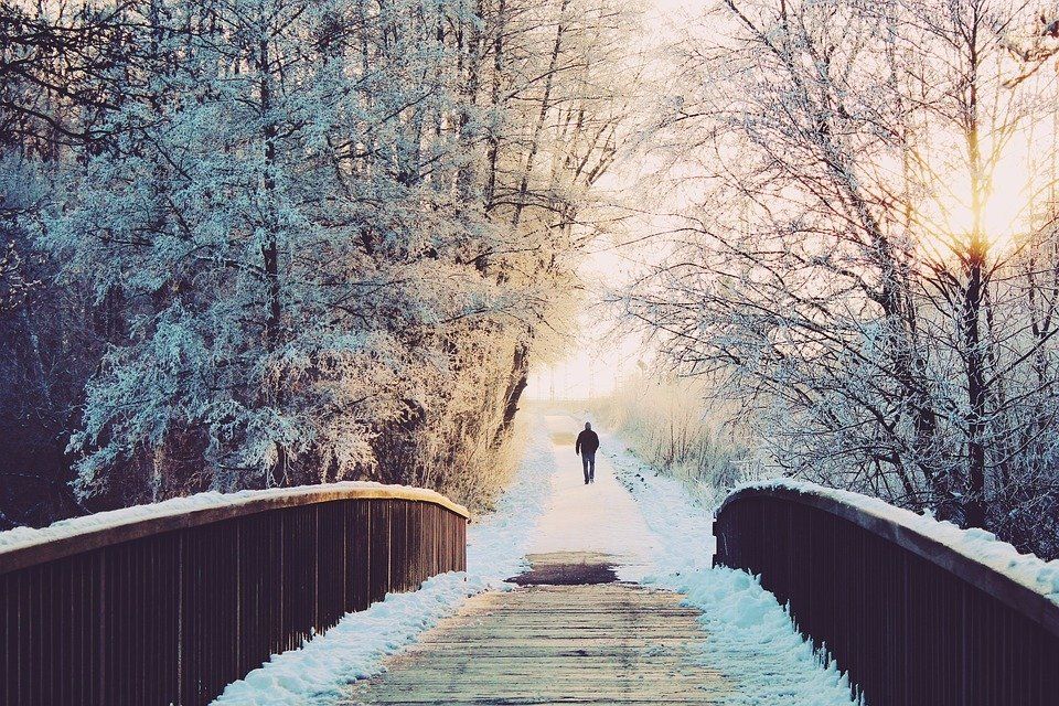 Winter scene of a bridge an a forest with a person in the distance